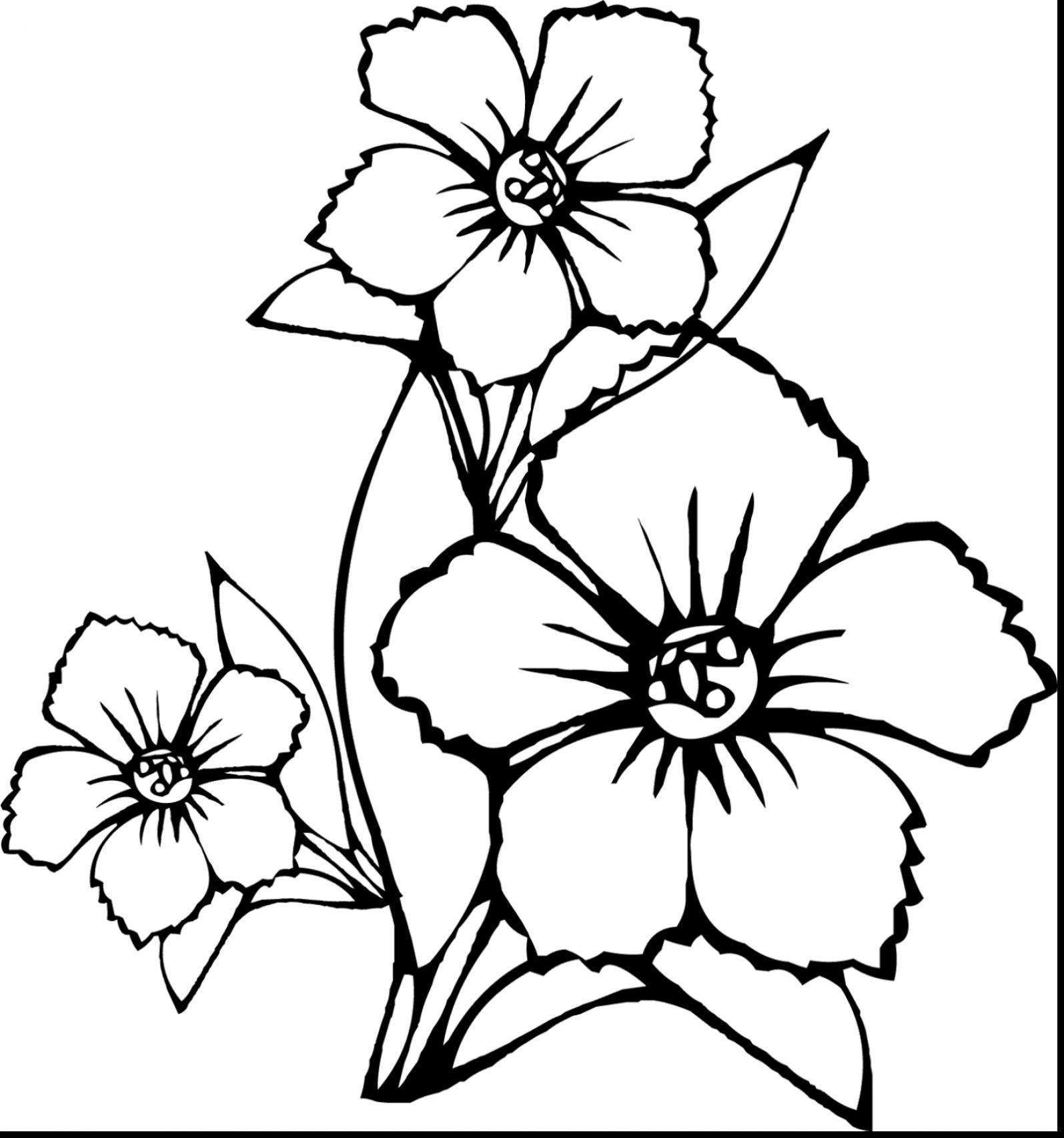 1595x1705 Fascinating Excellent Small Flower Coloring Pages With Picture