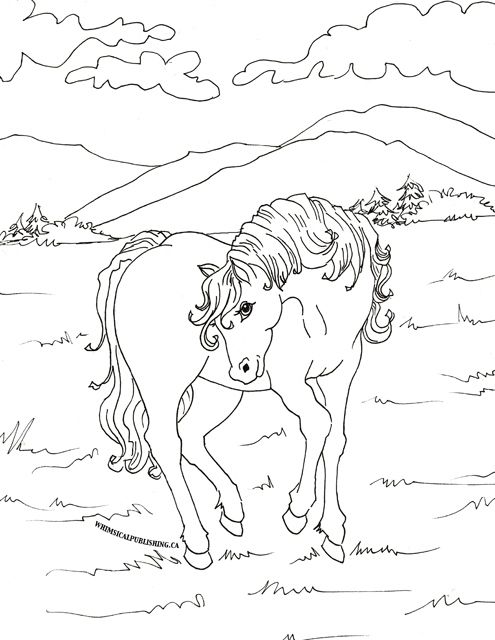 495x640 Horse Colouring Page