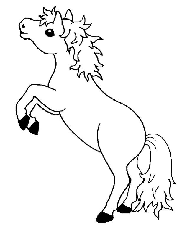 600x767 Mom Baby Horse Coloring Pages