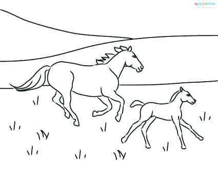 425x329 Printable Horse