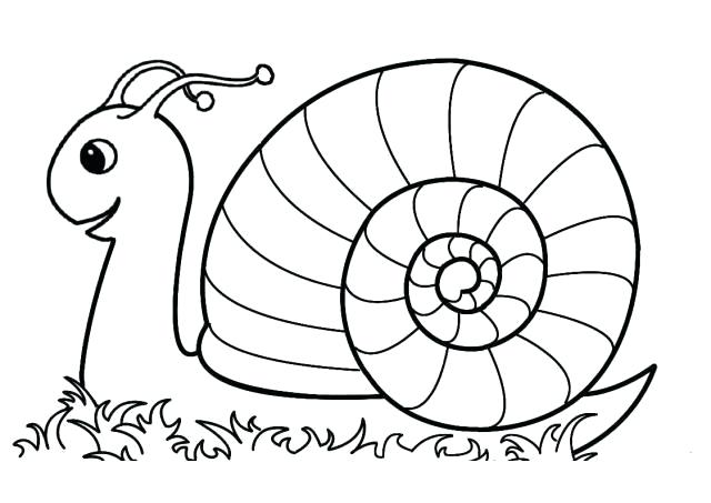 640x453 Snail Coloring Pages A Preschool Murs