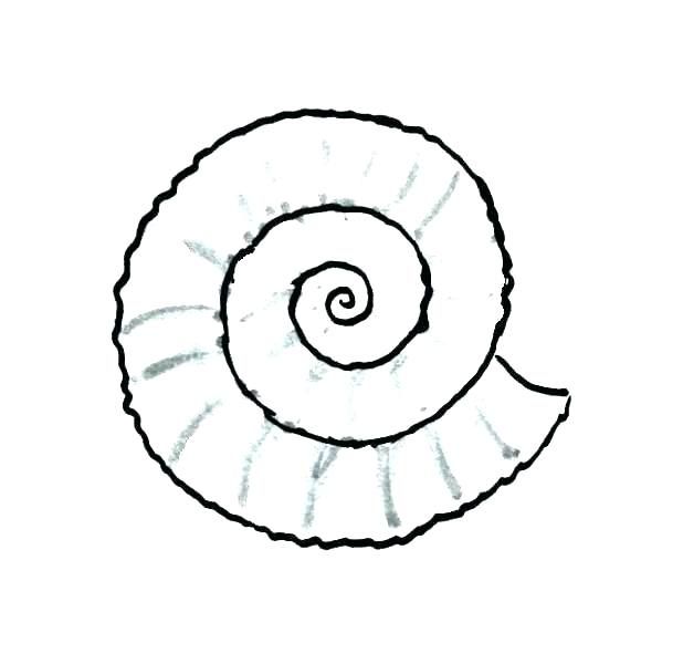 618x600 Snail Coloring Pages Seashell Coloring Page Sea Shells Coloring