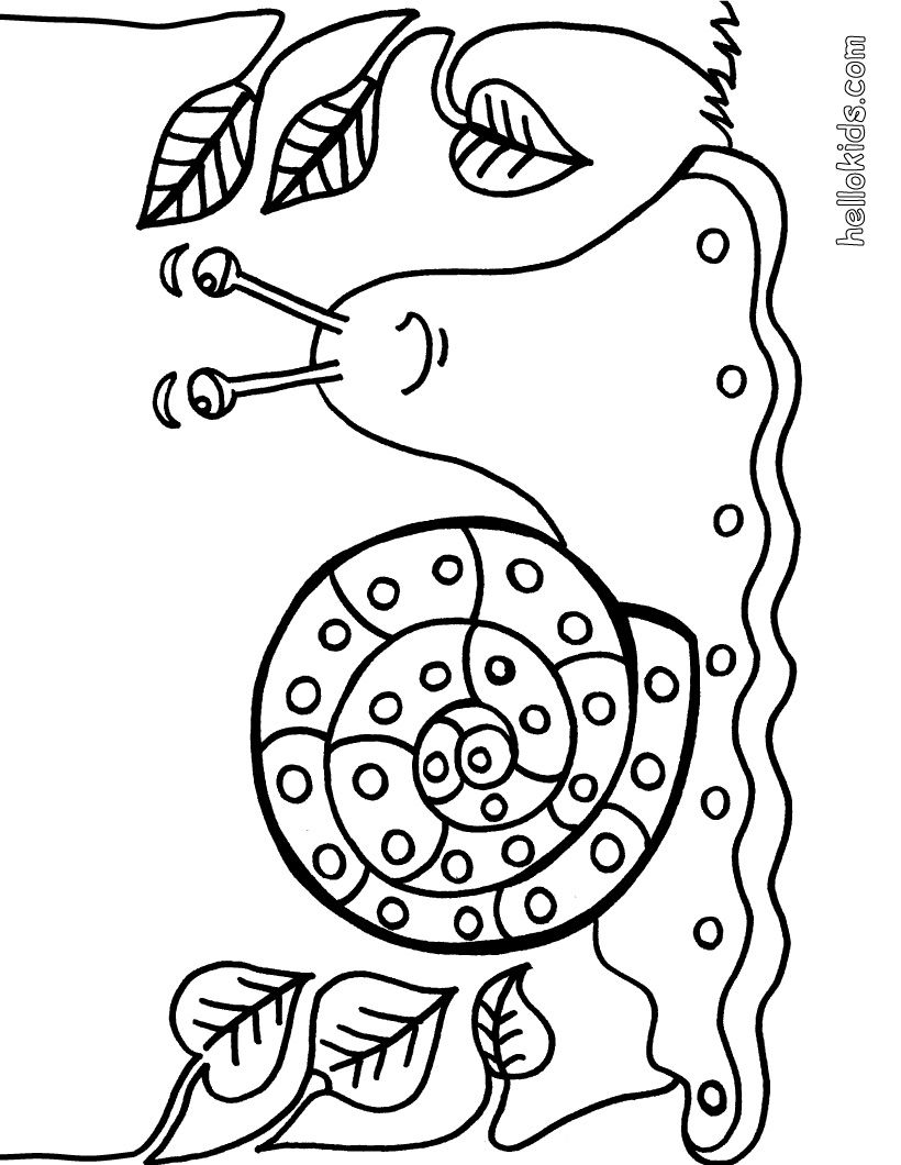 820x1060 Snail Coloring Page Zoology Snail, Color Sheets