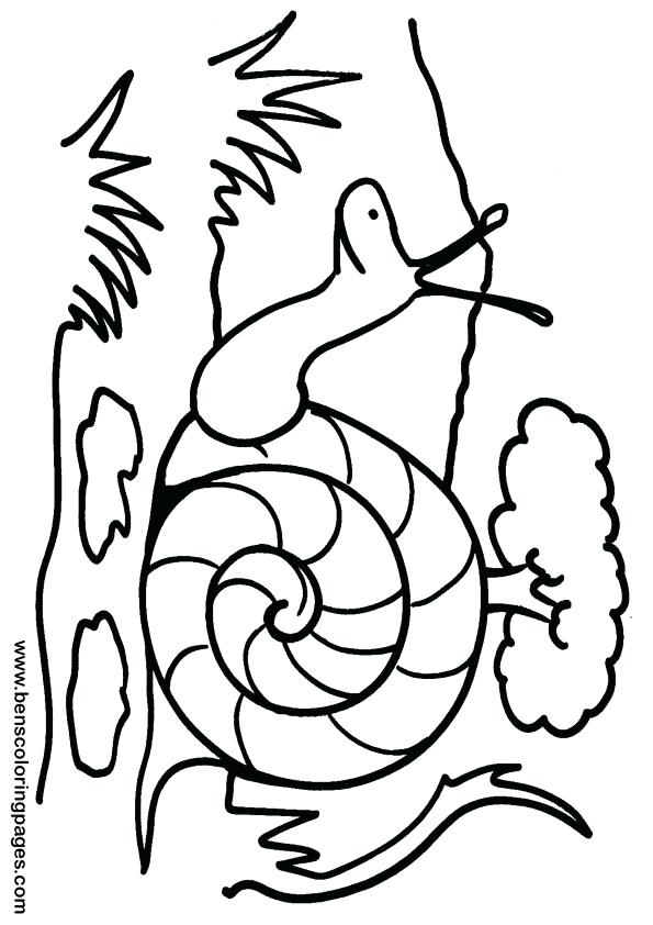 595x842 Turbo Snail Coloring Pages Snails Free Colouring Land Page Sketch