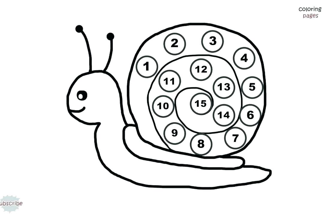 1080x720 Sea Snail Coloring Page Deepart