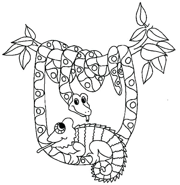 600x616 Snakes Coloring Pages Snake Color Page Be Friend With Snake