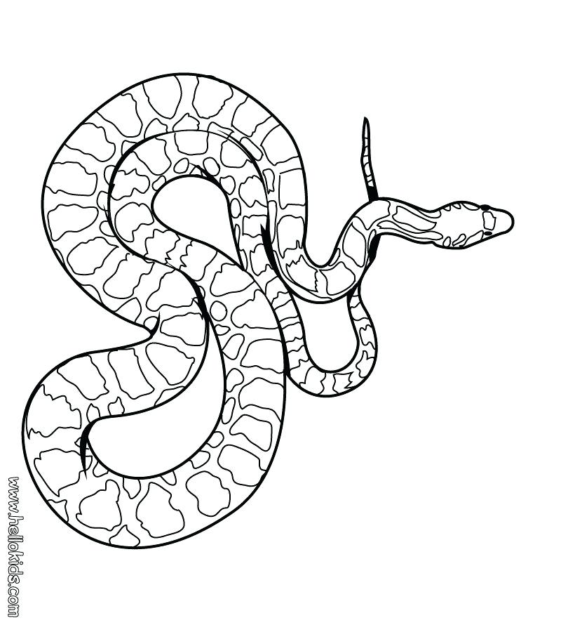 820x900 Coloring Page Snake Cobra Snake Coloring Pages To Print Colouring