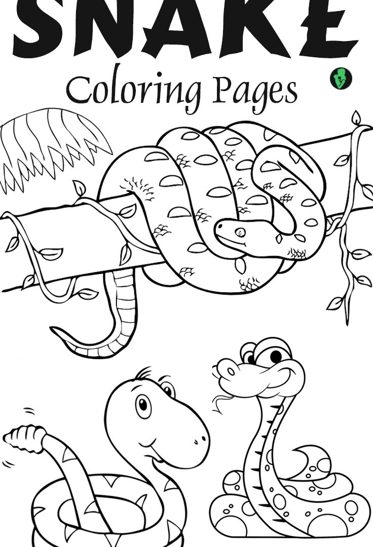 736x1080 Reptiles Snakes Eastern Diamondback Rattlesnake Coloring Pages