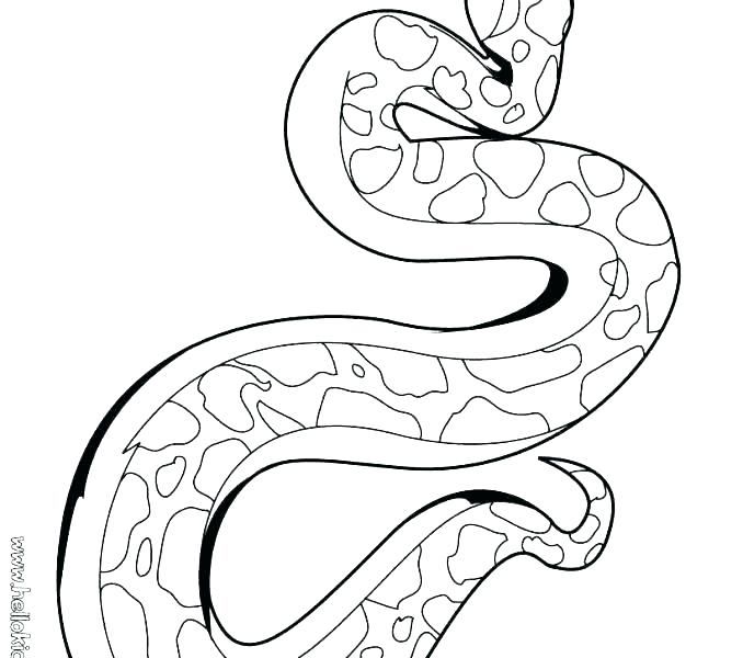 678x600 Snake Color Page Coloring Pages Snake Coloring Pictures Of Snakes