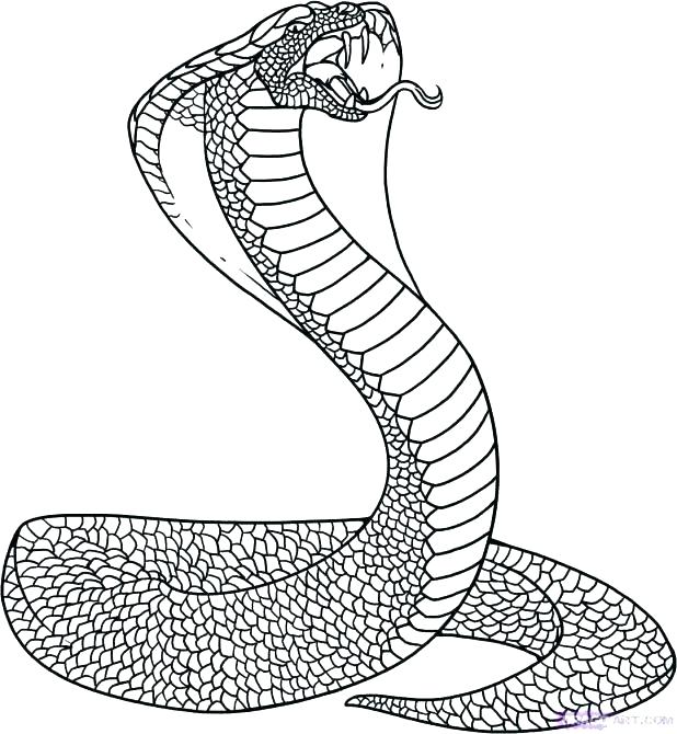 618x670 Anaconda Coloring Page Serpentine Coloring Pages Page Snake King