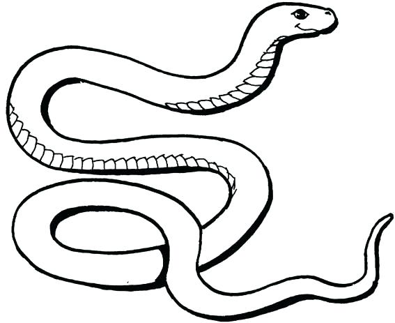 567x463 Snake Coloring Pages For Kids