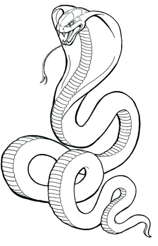 550x858 Snake Coloring Sheets Snake Coloring Sheets Cobra Snake Coloring