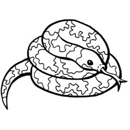 268x268 Bull Snake Coloring Page Kids Drawing And Coloring Pages