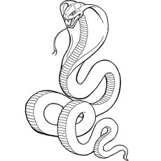 230x230 Top Free Printable Snake Coloring Pages Online