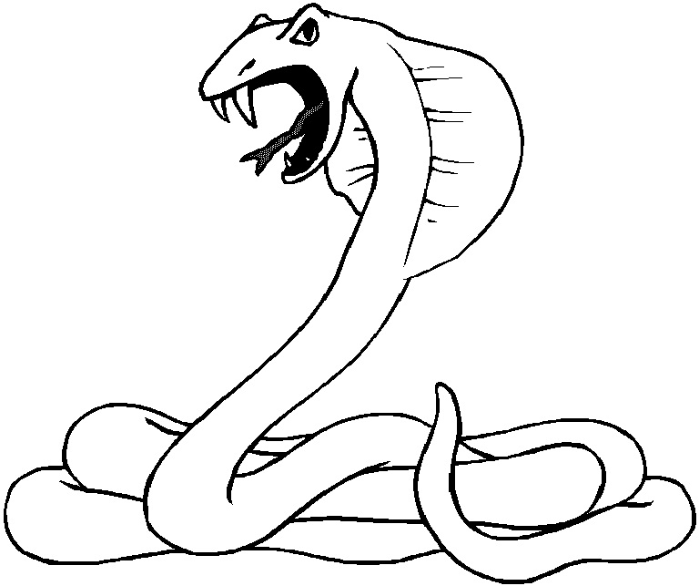 768x643 Coloring Page Snake Free Printable Snake Coloring Pages For Kids