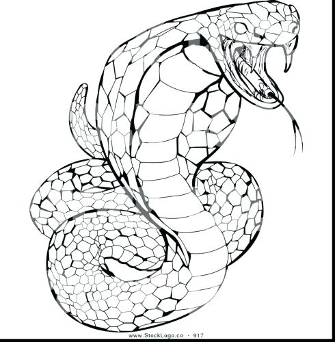 Snake Coloring Pages Realistic at GetDrawings | Free download