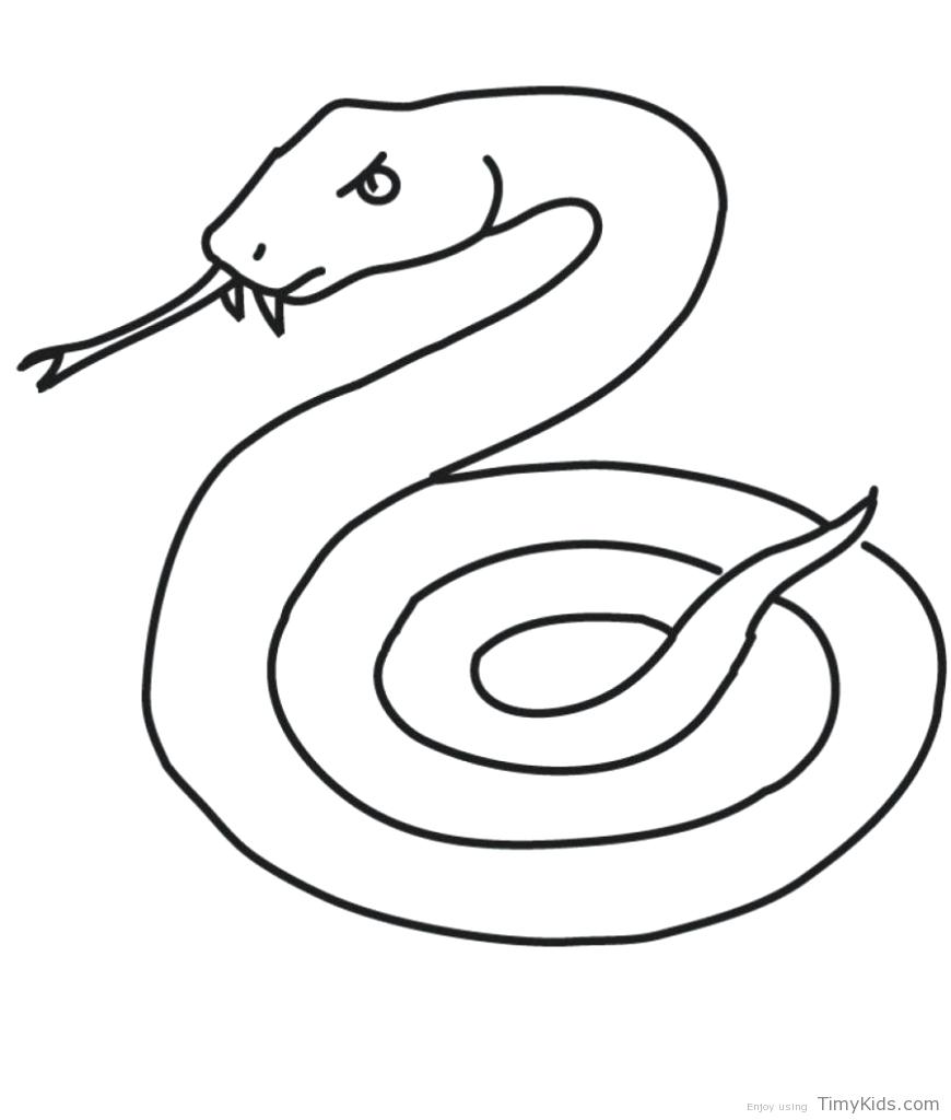 870x1024 Snake Coloring Sheets