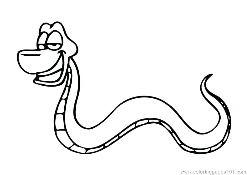 800x566 Boa Constrictor Coloring Page Snake Coloring Page Snake Show Teeth