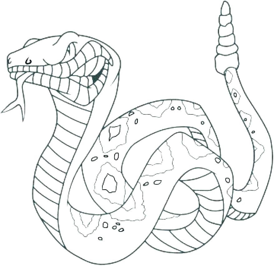 878x853 Printable Snake Colouring Pages Color Page Coloring Free Pictures