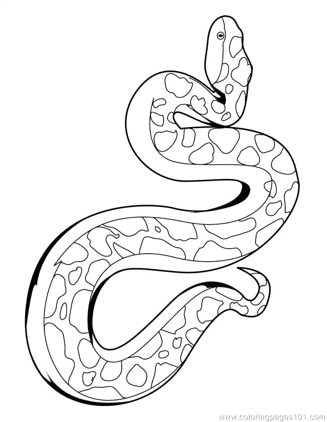 650x840 Snakes Coloring Pages Coloring Pages Of Snakes Rattlesnake