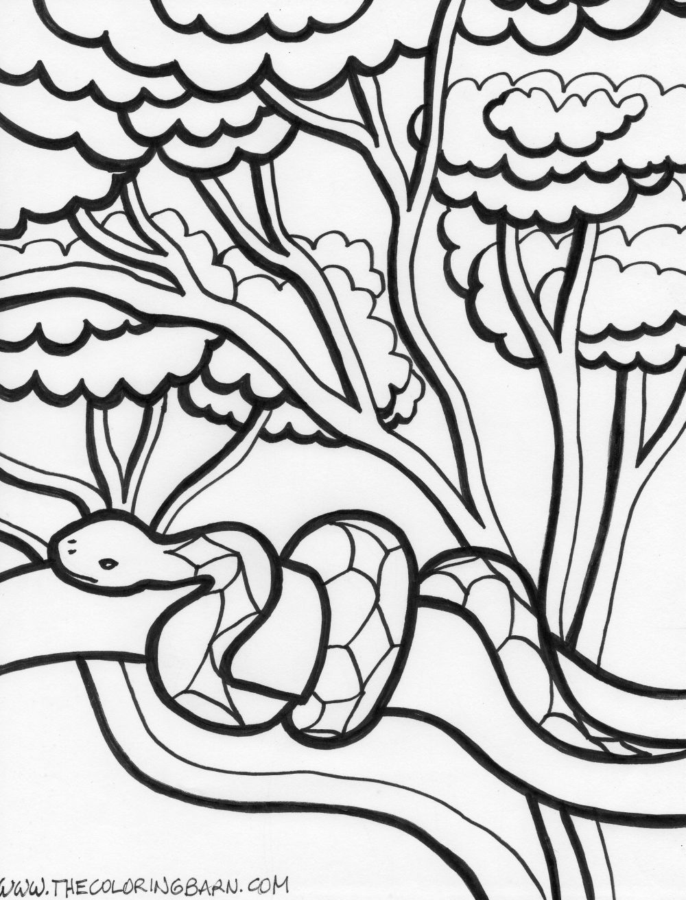 1000x1312 Coloring Picture Printable Snake Coloring Pages Coloring Me, Snake