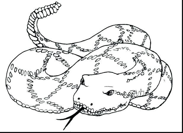 Snake Eyes Coloring Pages at GetDrawings | Free download