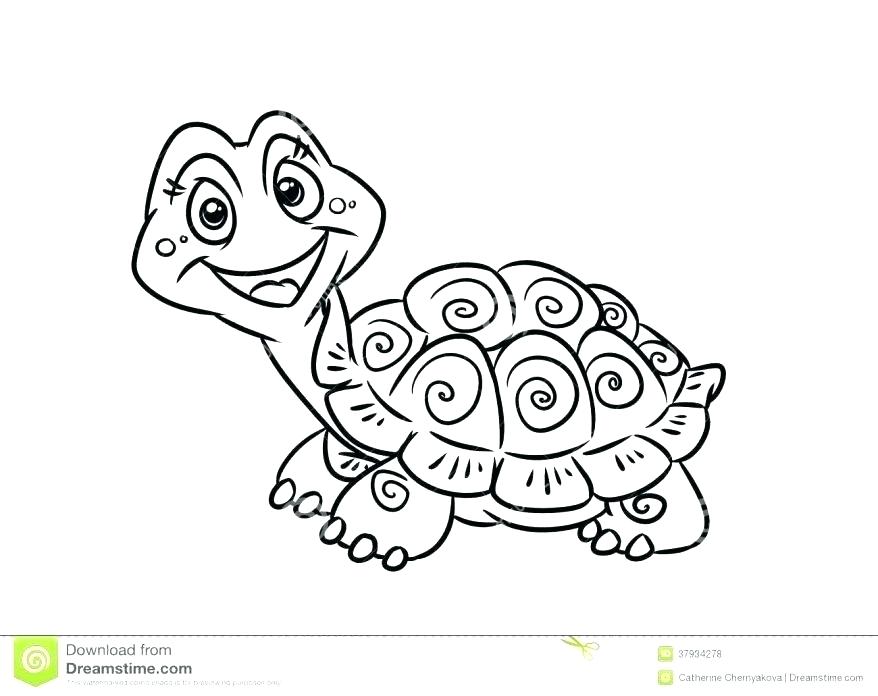 878x696 Coloring Pages Online For Adults Snapping Turtle Page Pin Drawn