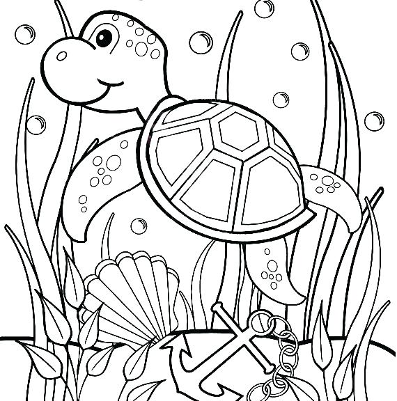 570x576 Coloring Pages Turtle A Turtle Coloring Pages Good Online Coloring