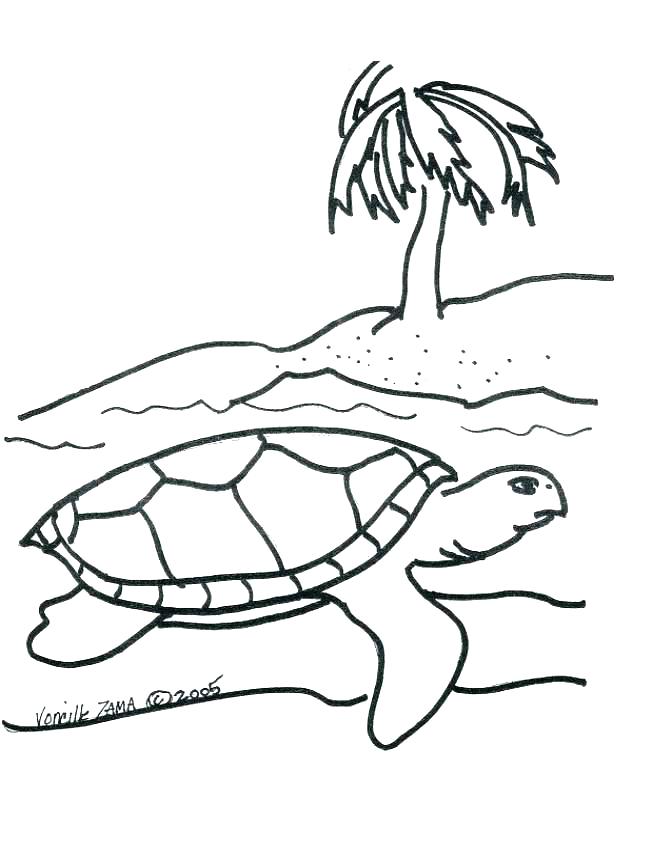 672x856 Sea Turtles Coloring Pages Snapping Turtle Coloring Page Coloring