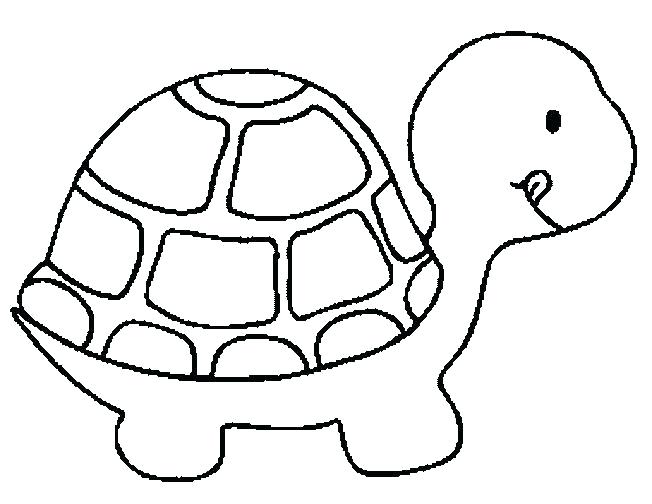 652x504 Turtle Coloring Pages Coloring Pages Turtle Coloring Pictures