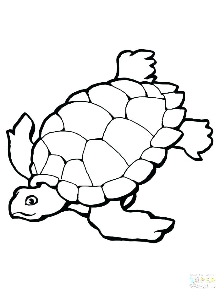 700x933 Turtle Coloring Pictures Green Sea Turtle Coloring Pages
