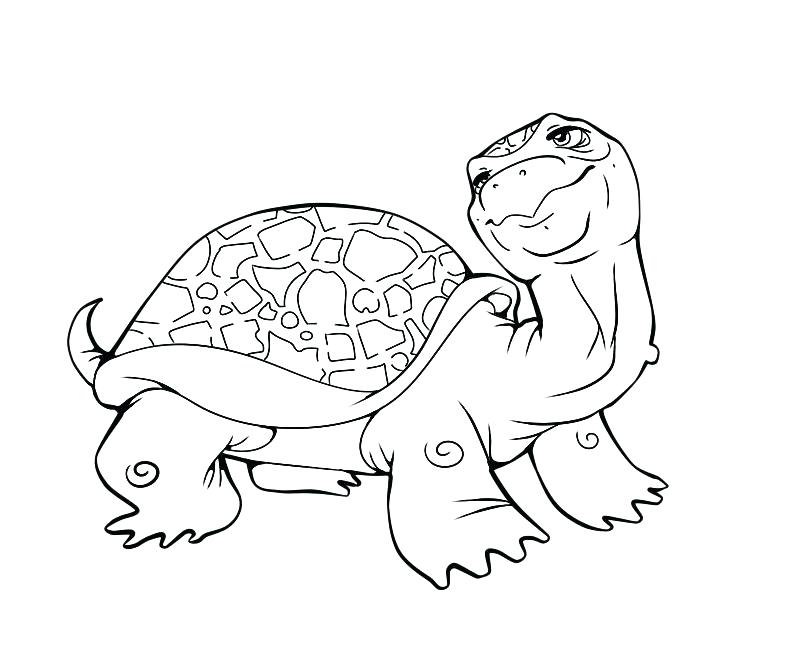 792x648 Baby Turtle Drawing Print Out Baby Turtle Coloring Book Pages Baby