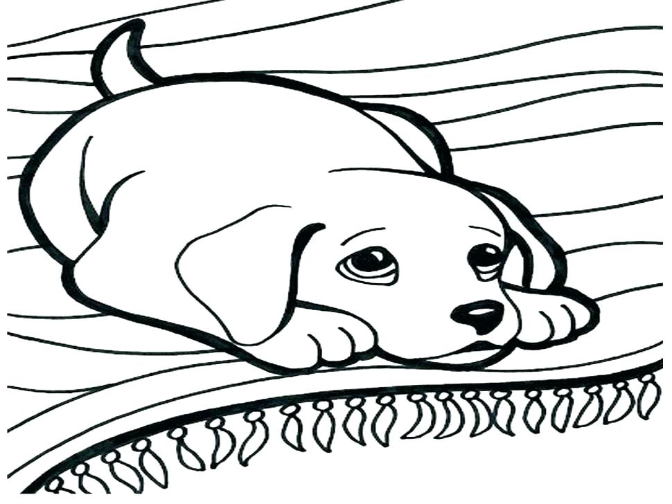 970x728 Coloring Page Of Dog Coloring Page Of Dog Free Printable Dog
