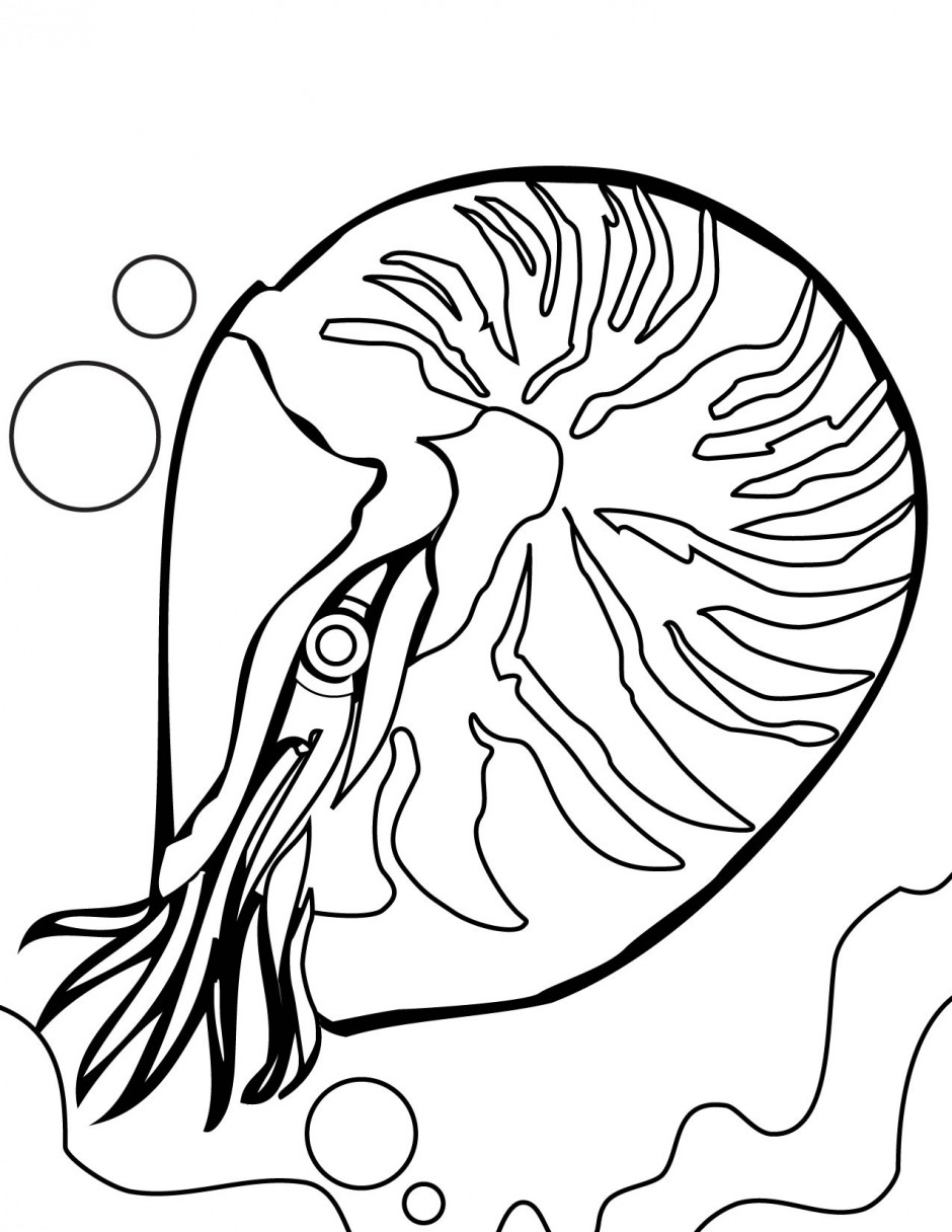 940x1216 Barrier Reef Colouring Pages