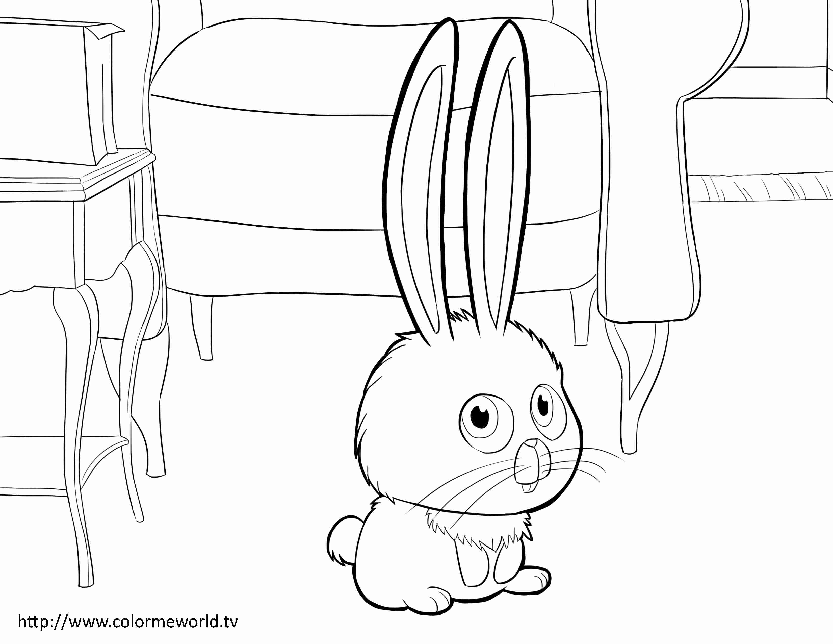 3300x2550 Snowball Pdf Printable Coloring Page The Secret Life Of Pets
