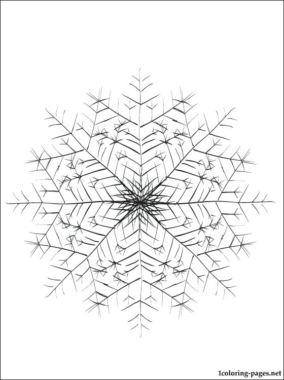 560x750 Snowflake Coloring Pages Adirondack Snowflakes Snowflake Coloring