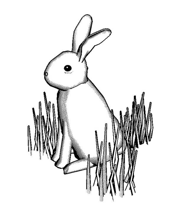 600x761 Bunny Rabbit Standing On Grass Coloring Pages Color Luna