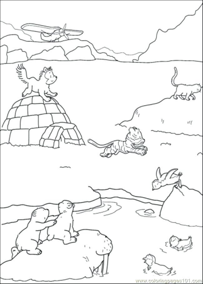 650x912 Dunker Animal Coloring Pages Snowshoe Animal Coloring Pages Polar