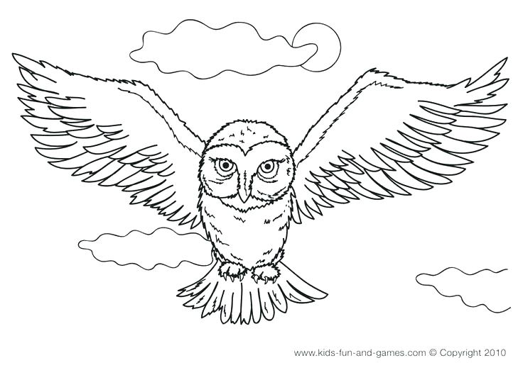 736x522 Cute Owl Coloring Pages Snowy Owl Coloring Pages Detailed Owl