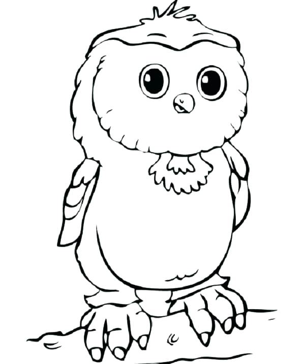 600x716 Printable Owl Coloring Pages Snowy Owl Coloring Pages Page Free