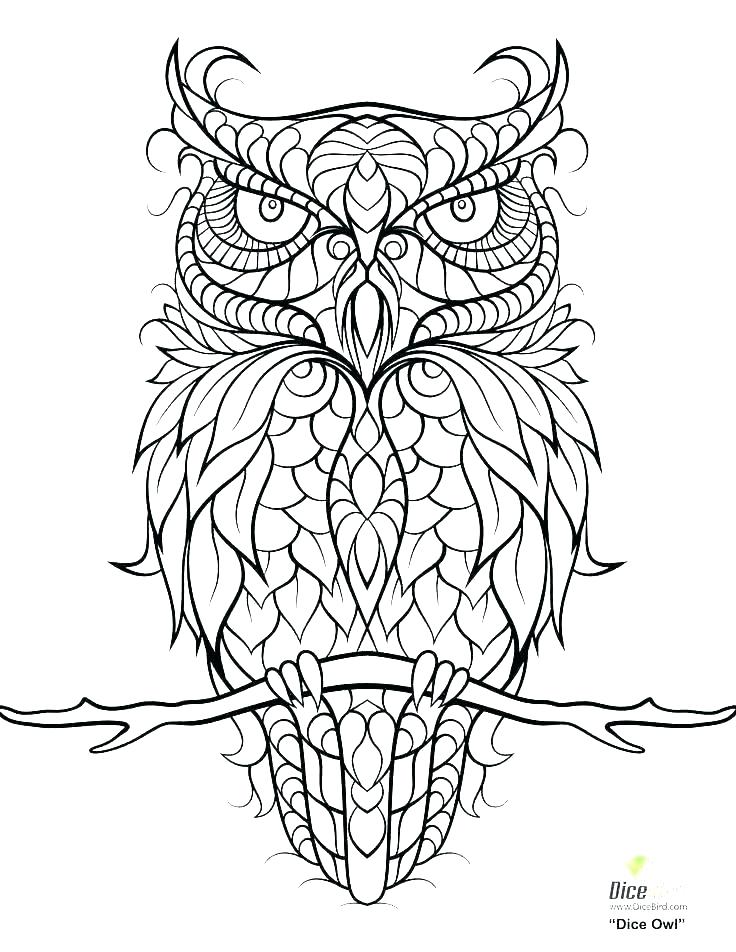 736x952 Snowy Coloring Pages Owl Color Pages Snowy Owl Coloring Pages Cute
