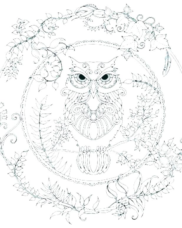 618x772 Snowy Owl Coloring Pages Owl Coloring Page Elegant Baby Owl