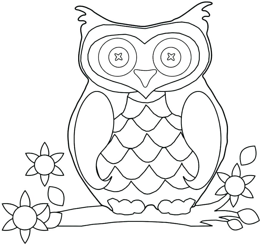 878x824 Snowy Owl Coloring Pages Owl Pictures To Color Packed With Snowy
