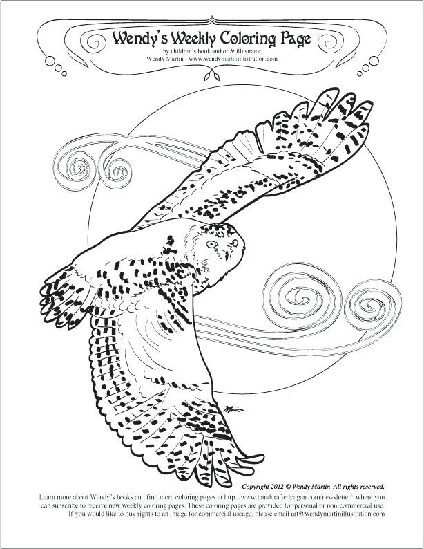 614x794 Snowy Owl Coloring Pages Snowy Owl Coloring Page Snowy Owl Color