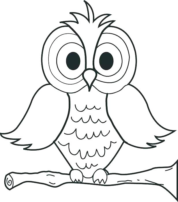 617x700 Snowy Owl Pictures Print Awesome Owl Coloring Pages New Baby Cute