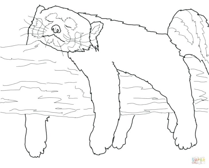 728x587 Red Bird Coloring Page High Quality Free Big Soda Crossing Sea New