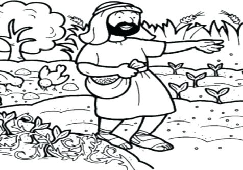 476x333 Soil Coloring Page Into Good In Parable Of The Sower Color