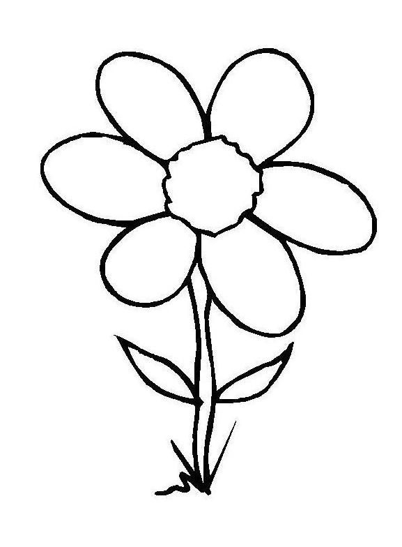 577x784 Flower Embedded In The Soil Coloring Pages Pre K Color Pages