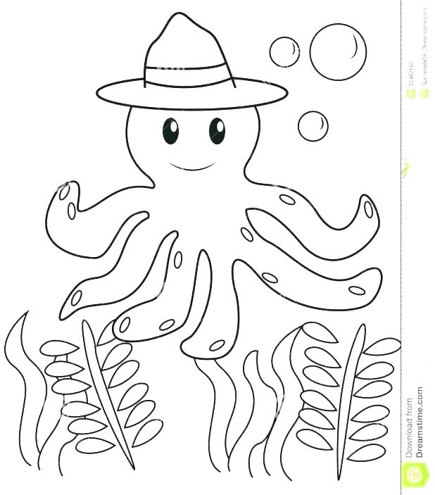 618x703 Sombrero Coloring Page Coloring Page Mandala A Sombrero Vaquero