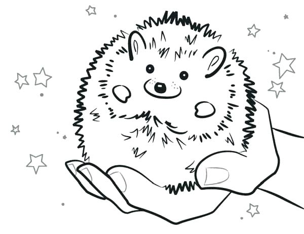 600x462 Sonic The Hedgehog Coloring Pages Free Sonic Hedgehog Coloring